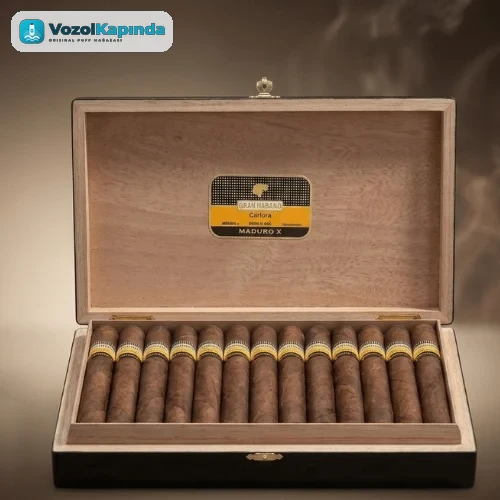 Cohiba Maduro 5 Genios Puro Satın Al - 25'li Ahşap Kutu DOMİNİC