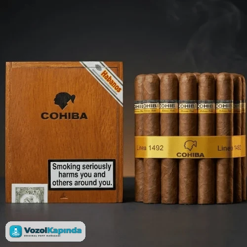 Cohiba Siglo 6 Puro - 25'li Ahşap Kutu Satın Al DOMİNİC