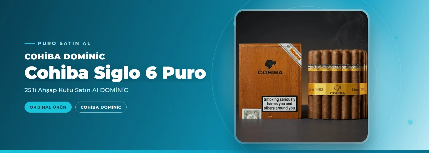 Cohiba Siglo 6 Puro – 25’li Ahşap Kutu Satın Al DOMİNİC