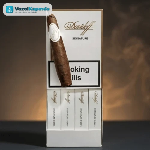 Davidoff Signature Puro - 4's Gift Pack DOMİNİC
