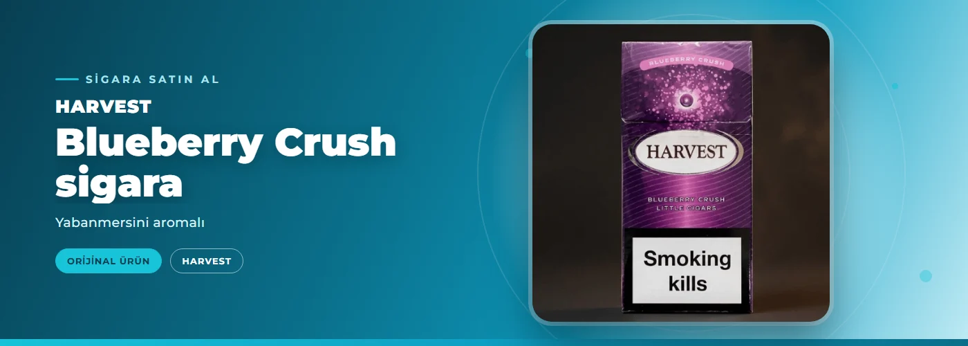 Harvest Blueberry Crush sigara – Yabanmersini aromalı