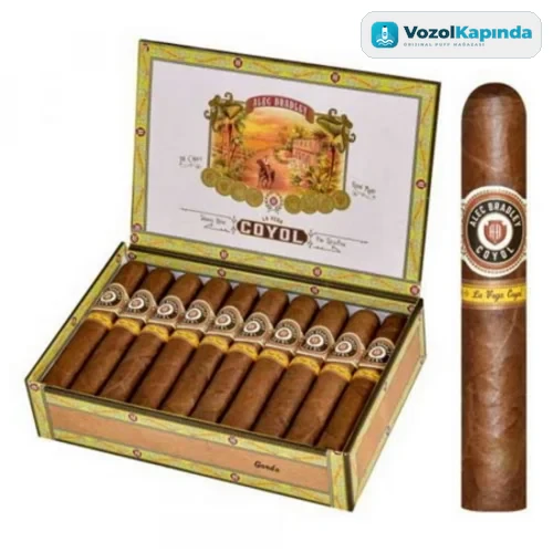 Alec Bradley Coyol Gordo Puro - 20's Ahşap Kutu - görsel 2