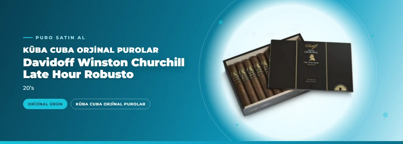 Davidoff Winston Churchill Late Hour Robusto – 20’s