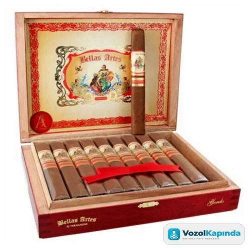 AJ Fernandez Bellas Artes Gordo Puro - 20´s Ahşap Kutu - görsel 2
