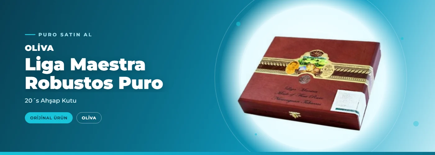 Oliva Liga Maestra Robustos Puro – 20´s Ahşap Kutu