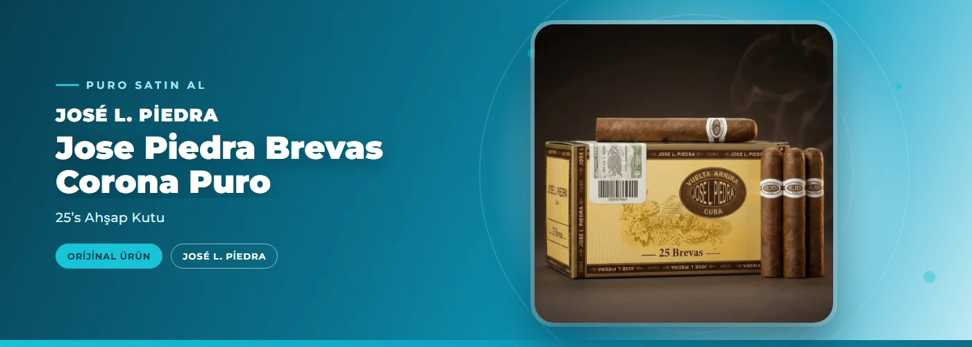 Jose Piedra Brevas Corona Puro – 25’s Ahşap Kutu