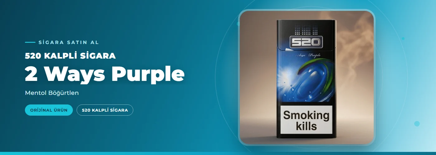 520 Kalpli Sigara 2 Ways Purple – Mentol Böğürtlen