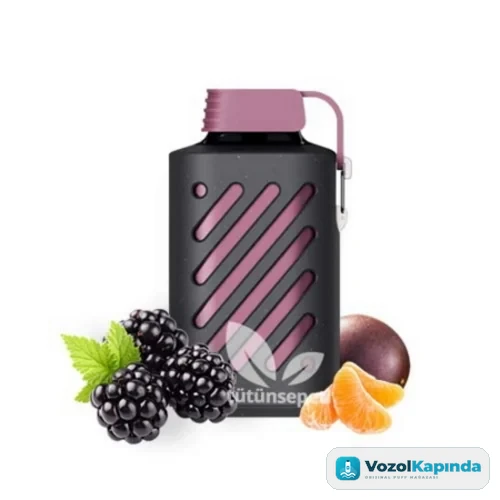 Vozol Gear 10000 Passion Fruit Raspberry Tangerine Puff
