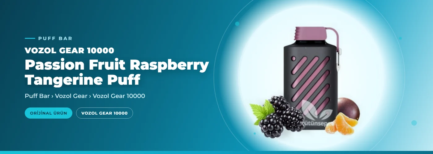 Vozol Gear 10000 Passion Fruit Raspberry Tangerine Puff