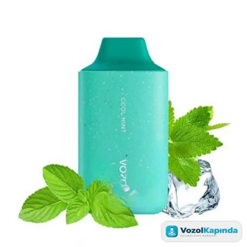 Vozol Star 6000 Cool Mint Puff
