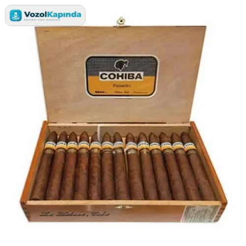 Cohiba Piramides Puro - 25's Ahşap Kutu DOMİNİC
