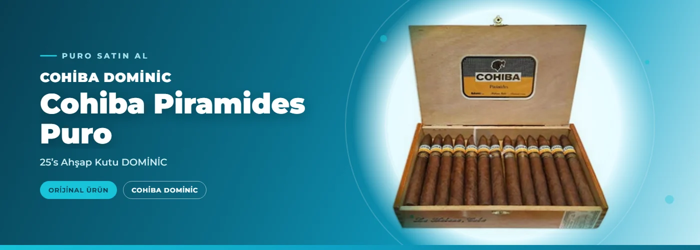 Cohiba Piramides Puro – 25’s Ahşap Kutu DOMİNİC