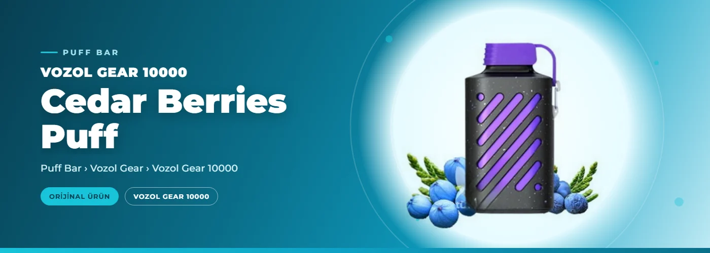 Vozol Gear 10000 Cedar Berries Puff