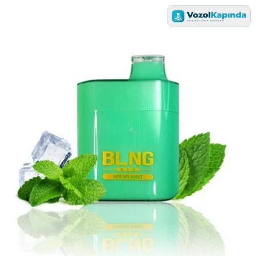 BLNG Air 6000 Spear Mint Puff