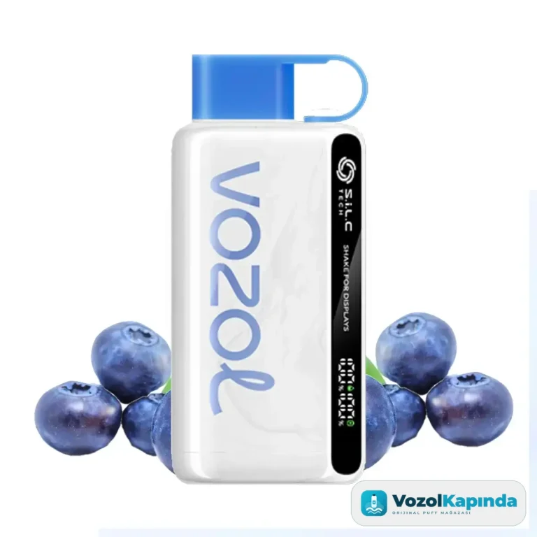 Vozol Star 12000 Puff Blueberry Storm