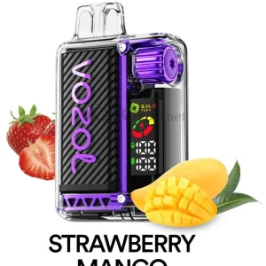 Vozol Vista 20000 Strawberry Mango