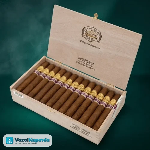 Diplomaticos Protocolo 25's Puro FREESHOP