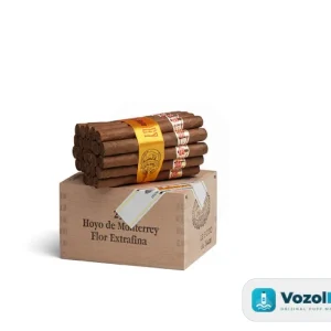 Hoyo de Monterrey Le Hoyo Du Maire Puro 25's FREESHOP