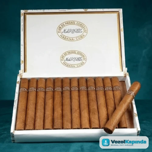 Rafael Gonzalez Petit Coronas Extra 25's Puro FREESHOP