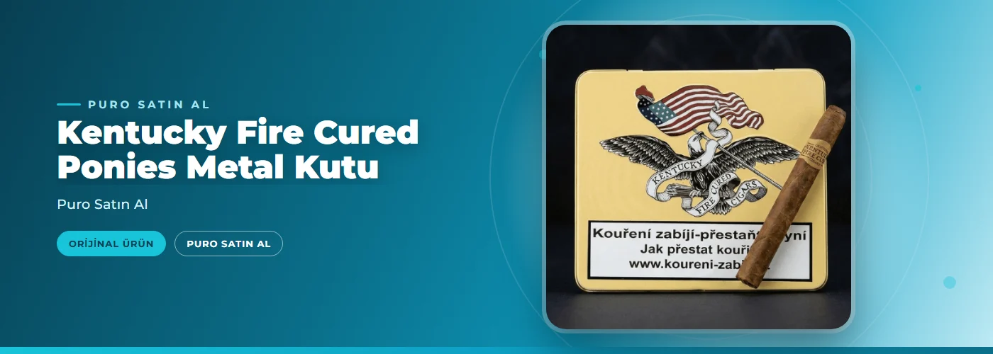 Kentucky Fire Cured Ponies Metal Kutu