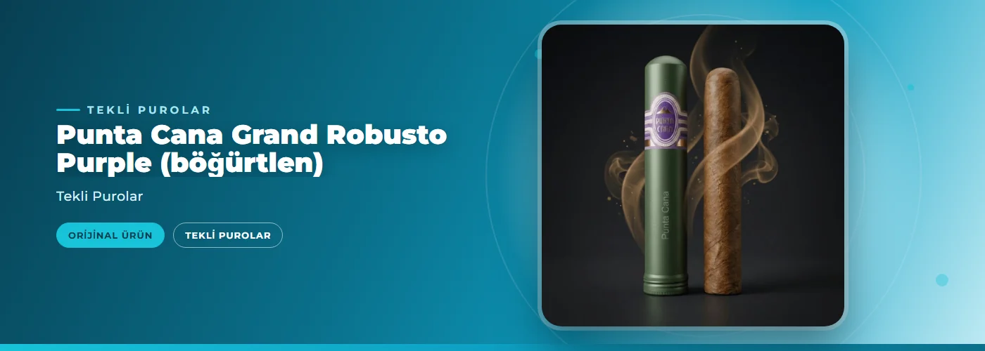 Punta Cana Grand Robusto Purple (böğürtlen)
