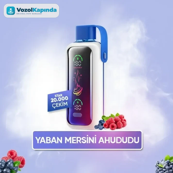 Vozol Star 20000 Puff - Blueberry Storm