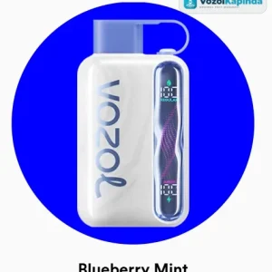 Vozol Star 40000 Blueberry Mint