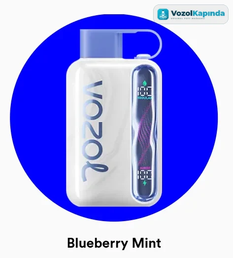 Vozol Star 40000 Blueberry Mint