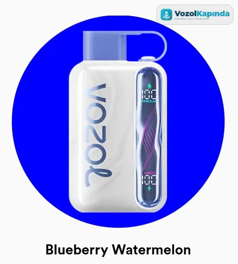 Vozol Star 40000 Blueberry Watermelon