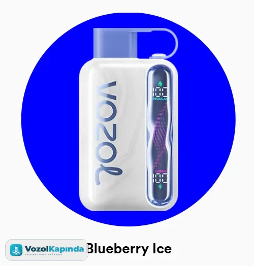 Vozol Star 40000 Blueberry Ice