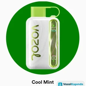 Vozol Star 40000 Cool Mint