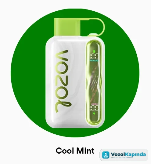Vozol Star 40000 Cool Mint