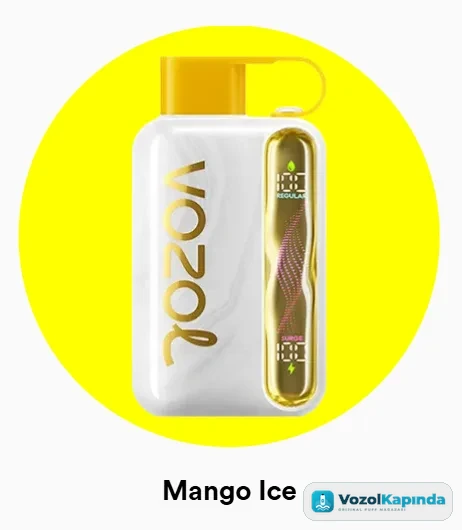 Vozol Star 40000 Mango Ice