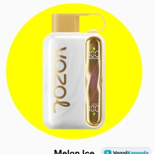 Vozol Star 40000 Melon Ice