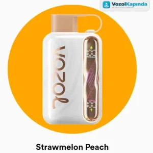 Vozol Star 40000 Strawmelon Peach