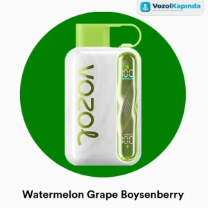 Vozol Star 40000 Watermelon Grape Boysenberry