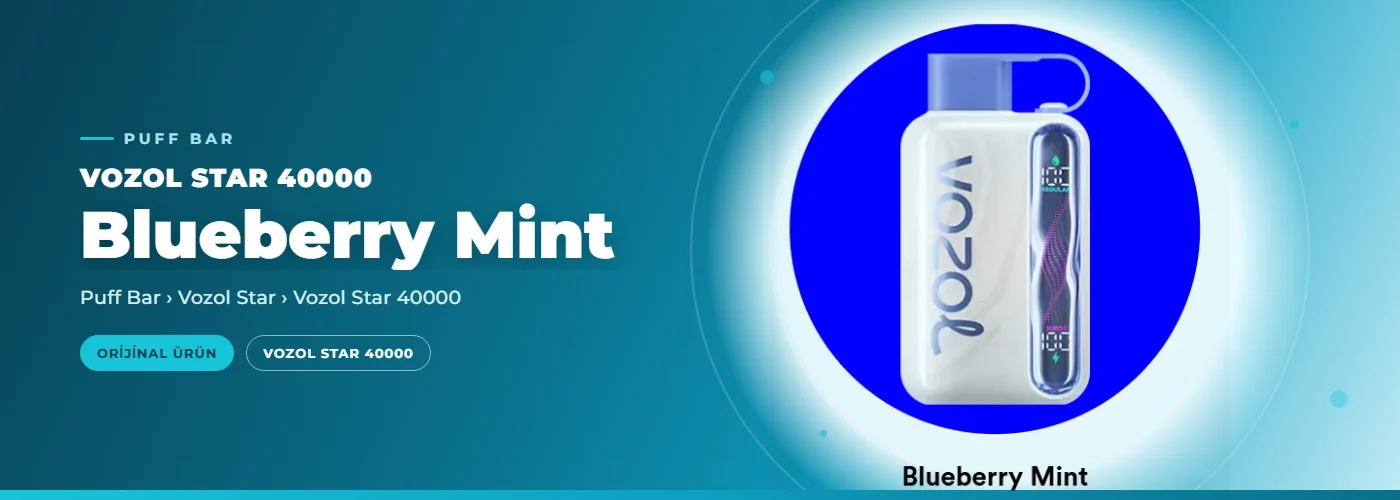 Vozol Star 40000 Blueberry Mint
