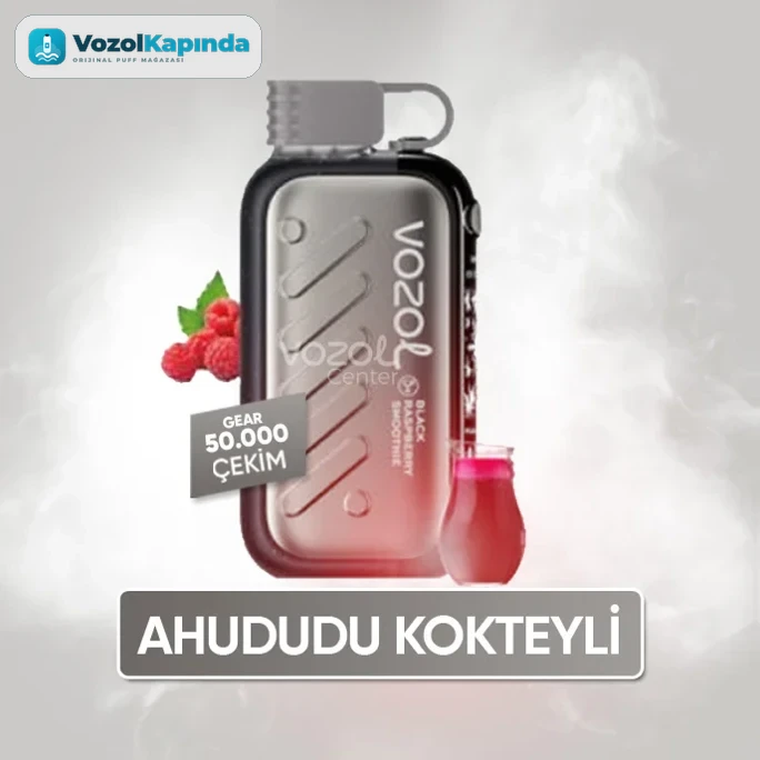 Vozol Gear Ice & Sweet 50000 Black Raspberry Smoothie