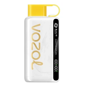Vozol 12000 Pineapple Coconut Ice