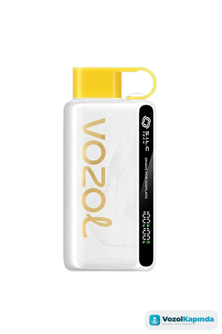 Vozol 12000 Pineapple Coconut Ice