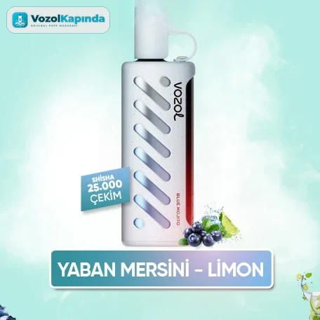 Vozol Gear Shisha 25000 Blue Mojito