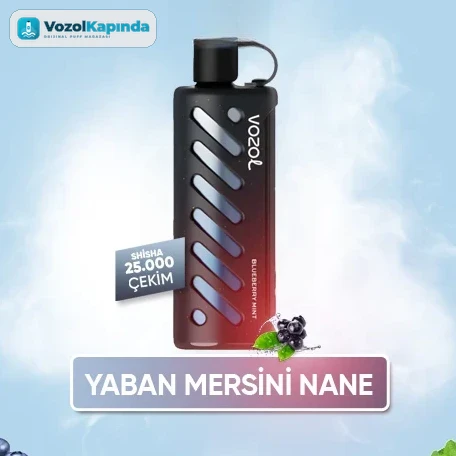 Vozol Gear Shisha 25000 Blueberry Mint