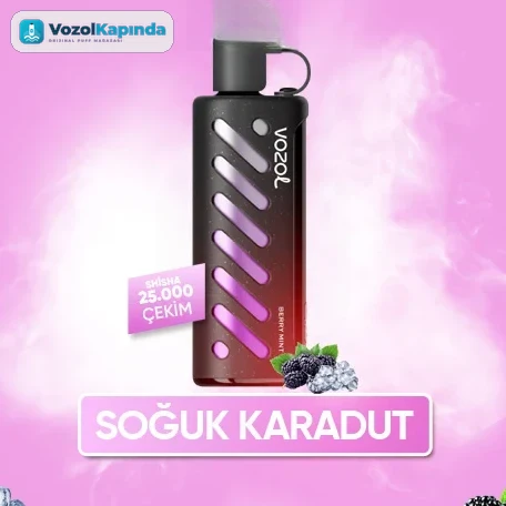 Vozol Gear Shisha 25000 Berry Mint