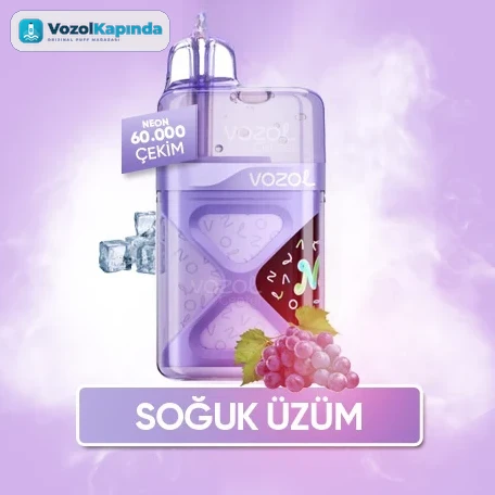 Vozol Neon 60000 Grape Ice