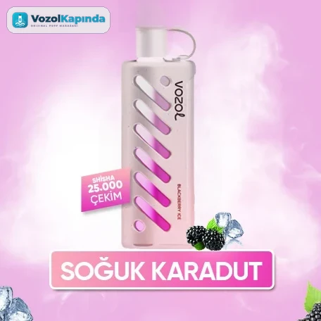 Vozol Gear Shisha 25000 Blackberry Ice