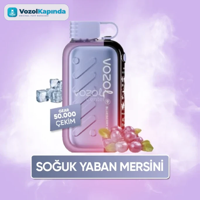 Vozol Gear Ice & Sweet 50000 Blueberry Ice