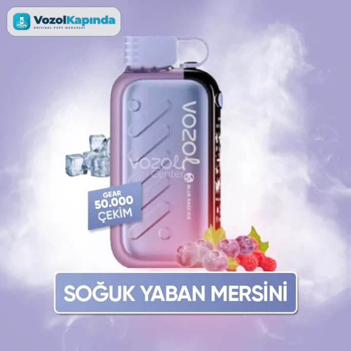 Vozol Gear Ice & Sweet 50000 Blue Razz Ice