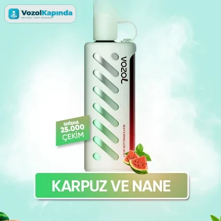 Vozol Gear Shisha 25000