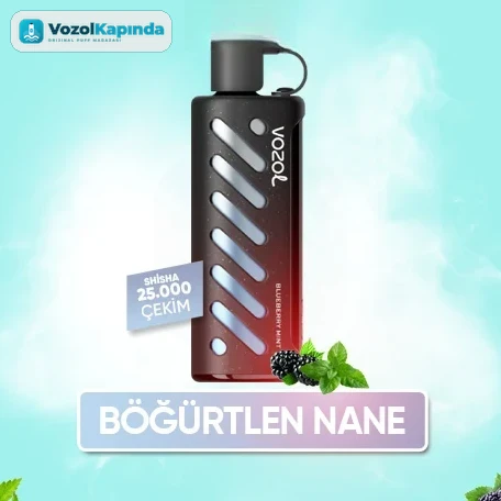 Vozol Gear Shisha 25000 Blueberry İce