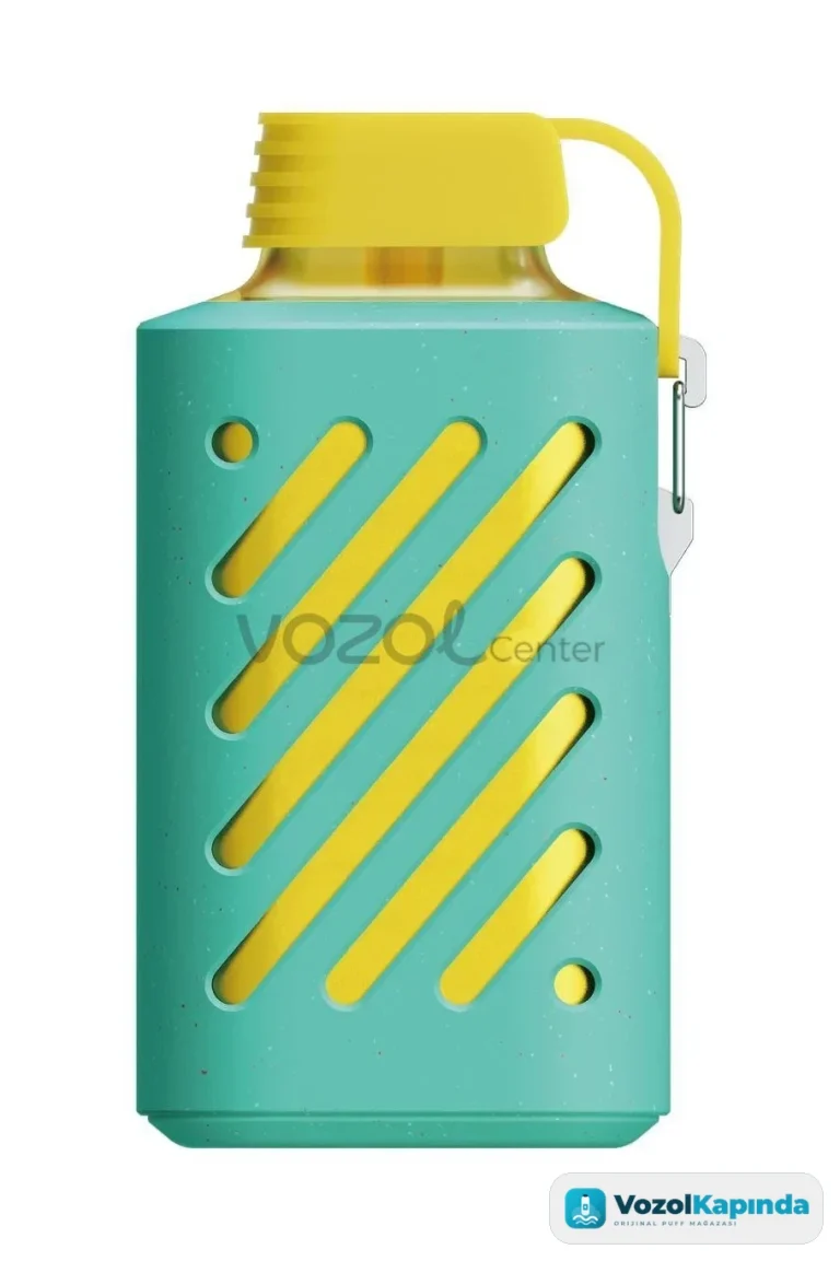 Vozol Gear 10000 Puff Raspberry Watermelon